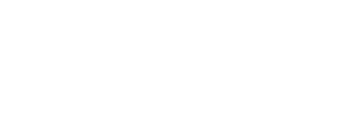 07-Budget